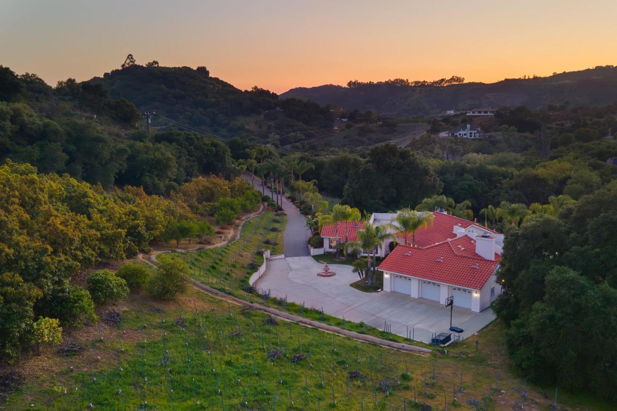 Grapevine By Avantstay Secluded 5Br Villa 4 Acres Of Vineyards Avo Groves Темекула Екстер'єр фото